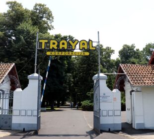 Preuzeto sa izvora: Grad Kruševac.