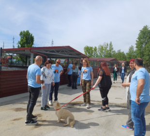 Izvor: Grad Kruševac