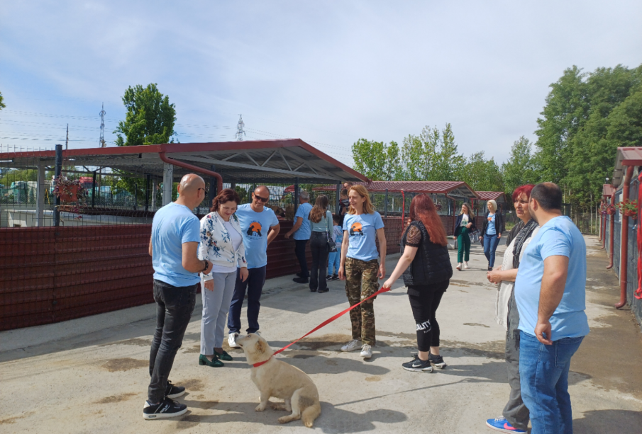 Izvor: Grad Kruševac