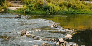 Foto: Shuttertsock/RastaKrasta