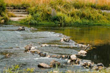 Foto: Shuttertsock/RastaKrasta