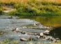 Foto: Shuttertsock/RastaKrasta