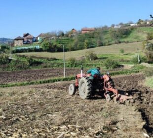 Foto: krusevacgrad.rs